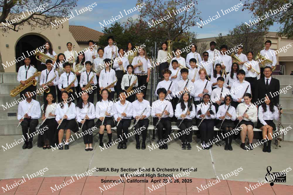 Musical Images